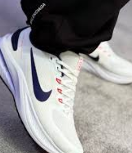 Nike Pegasus 41