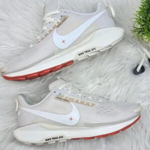 Nike Pegasus Trail 5