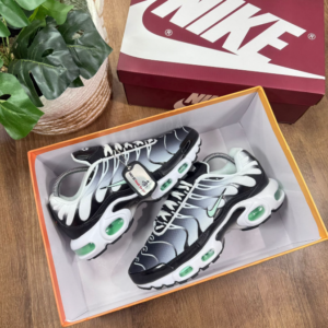 Nike Air Max Plus TN